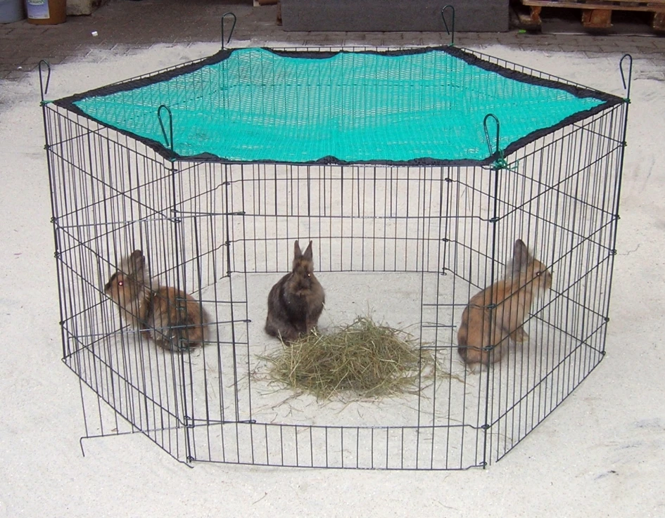 Freigehege Grün Mit Tür 60 X 63cm 6tlg. 3 Freigehege Grün Mit Tür 60 X 63cm 6tlg.