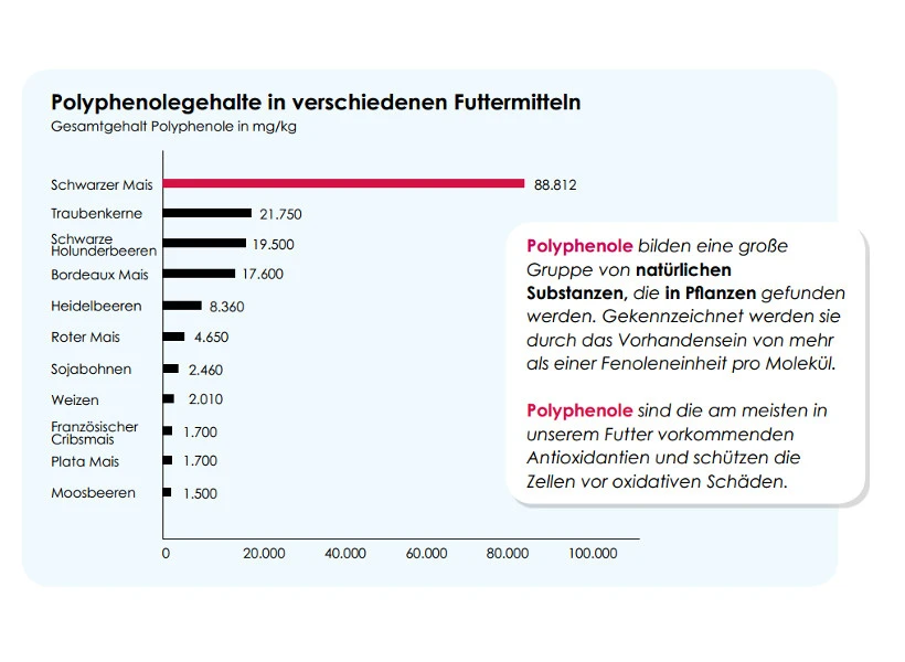 Versele Master Witwer 20kg 5 Versele Master Witwer 20kg - Image 3