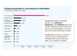 Versele Master Diät Relax 20kg 8 Versele Master Diät Relax 20kg -Optimal Heimtierbedarf Geschäft antioxidantien 13