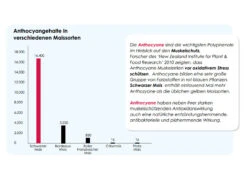 Versele Master R Exclusiv 20kg 9 Versele Master R Exclusiv 20kg -Optimal Heimtierbedarf Geschäft antioxidantien 22
