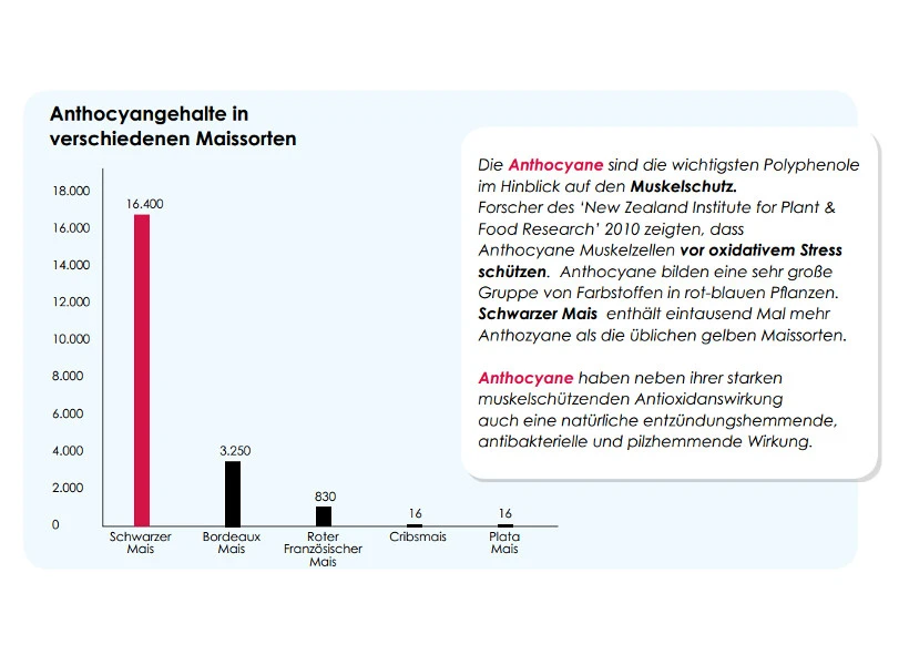 Versele Master Diät Relax 20kg 6 Versele Master Diät Relax 20kg - Image 4