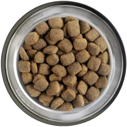 Belcando Junior Maxi 12,5kg -Optimal Heimtierbedarf Geschäft belcando napf junior maxi 800x800