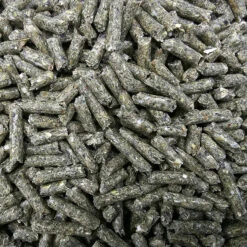 Bestseller 8 Berkel Chinchilla-Gold-KR 25kg