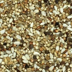 Beyers 24 - Superdiät 25kg