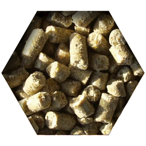 Beyers Goldcorn Koopman 2,5kg 4 Beyers Goldcorn Koopman 2,5kg - Image 2