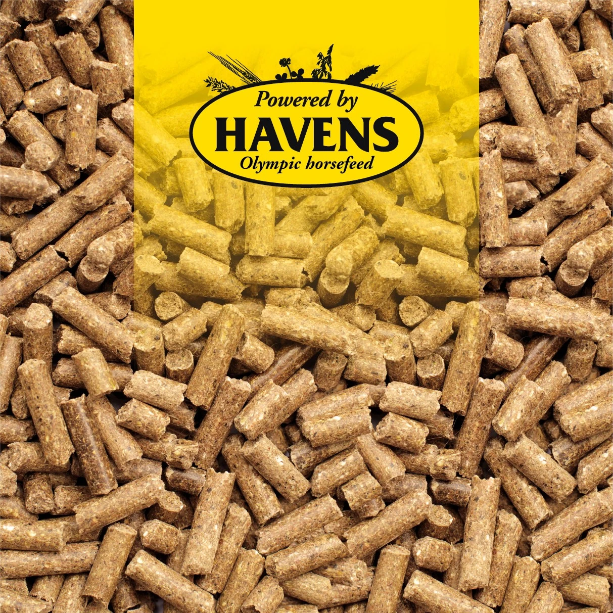 Havens Basis-Sportbrok 25kg 4 Havens Basis-Sportbrok 25kg - Image 2