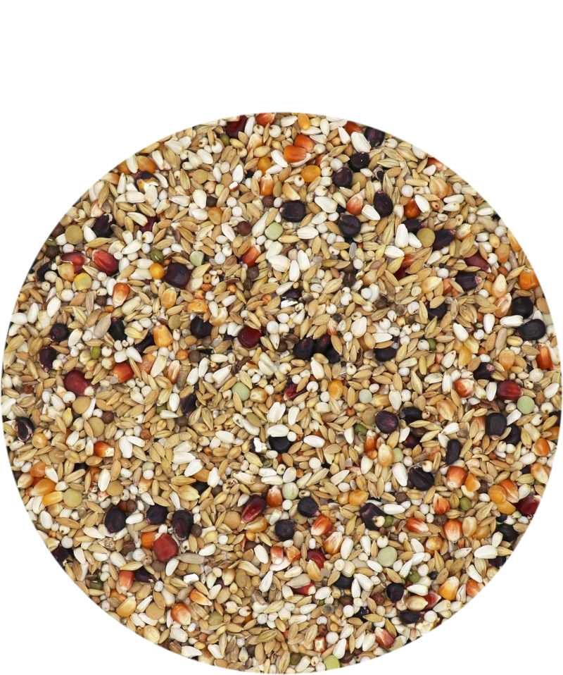 Versele Master Diät Relax 20kg 3 Versele Master Diät Relax 20kg