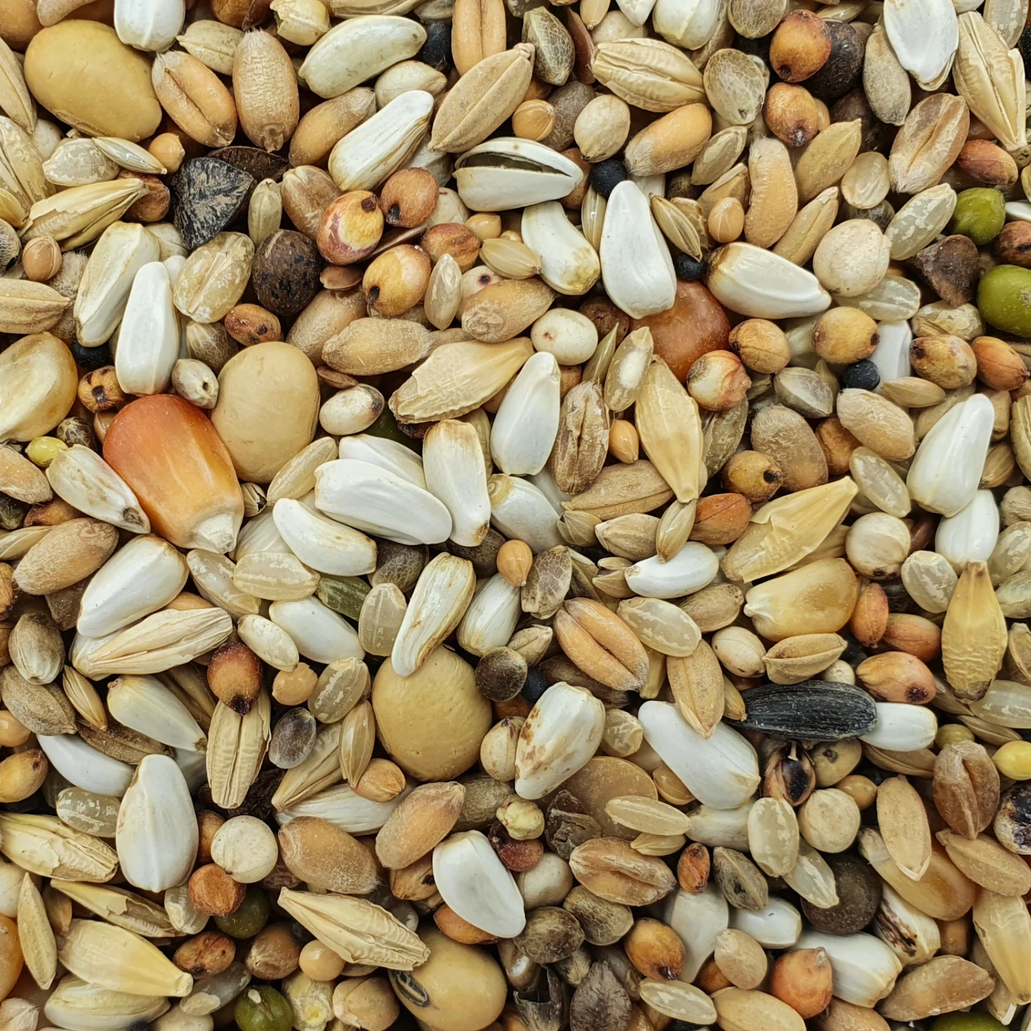 Matador Premium Super Start 25kg 3 Matador Premium Super Start 25kg