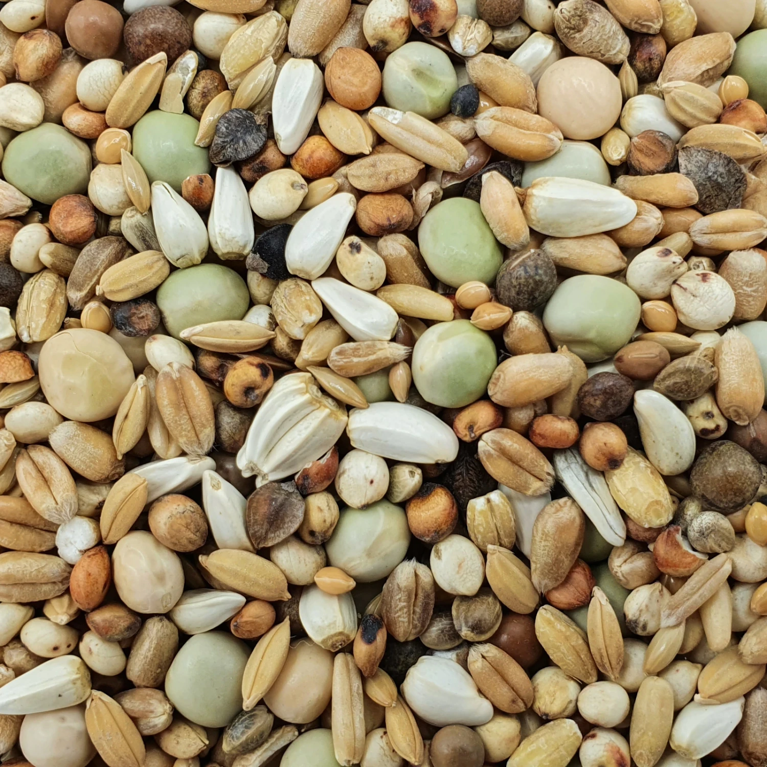 Matador RT/K 25kg 3 Matador RT/K 25kg