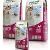 Bewi Dog H-Energy 25kg -Optimal Heimtierbedarf Geschäft rs2811 bd h energy gruppe 130903 mg