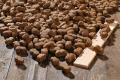 Bewi Dog Junior 12,5kg -Optimal Heimtierbedarf Geschäft rs2899 junior kroketten lineal img 1767b klein