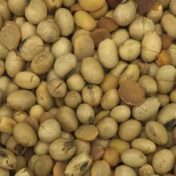 Soja GVO-Frei - Spinne 25kg