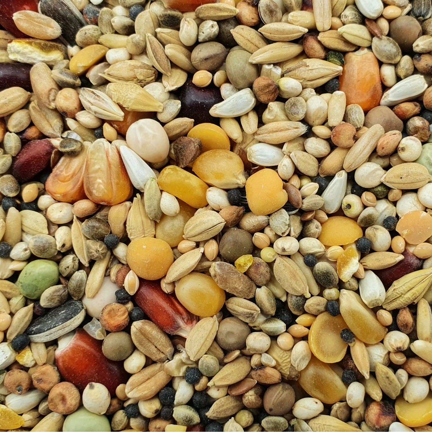 Spinne Stieneker Power 25kg 3 Spinne Stieneker Power 25kg