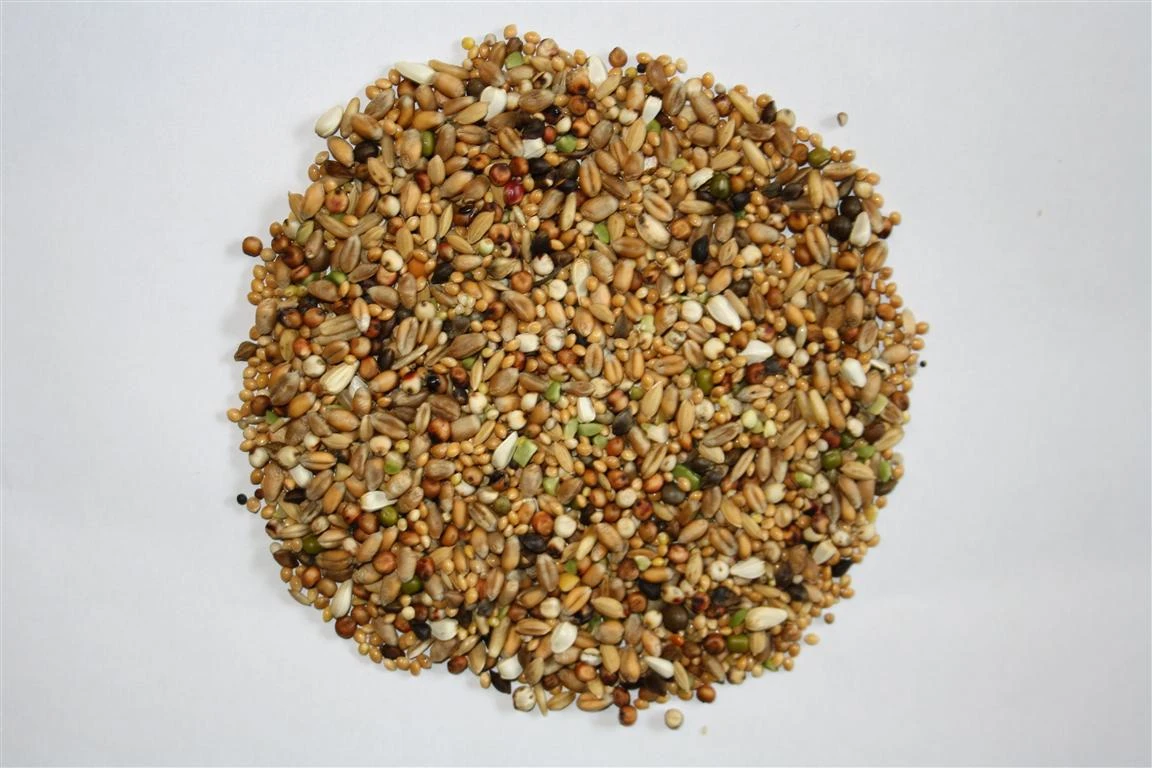 Versele Turteltaubenfutter Prestige 20kg 5 Versele Turteltaubenfutter Prestige 20kg – Bild 3